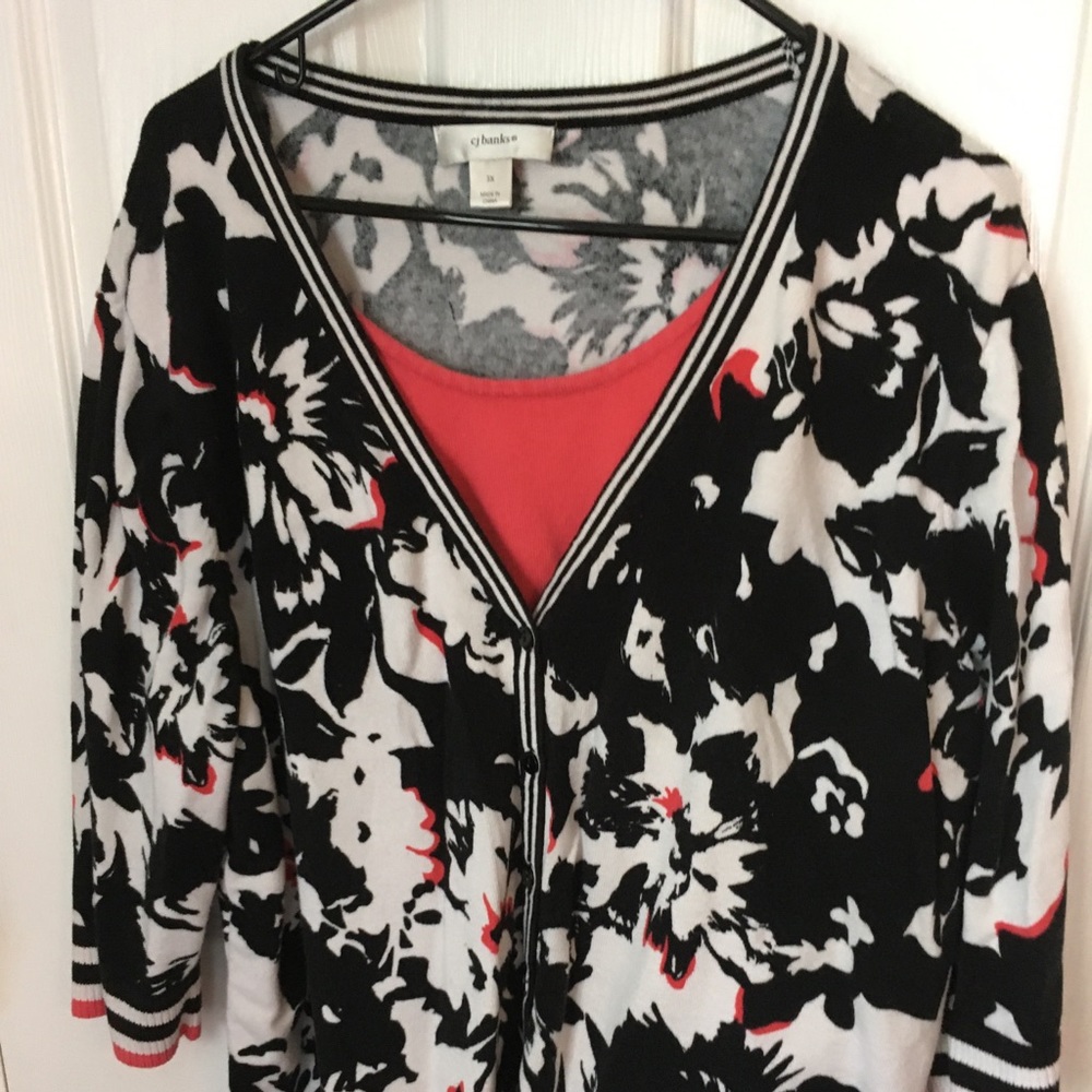 Lightweight sweater with 3/4 length sleeves, C J Banks, 3x